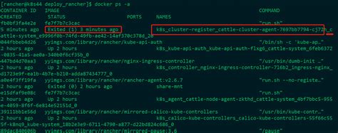 203, 192. . Disconnected cluster agent is not connected rancher